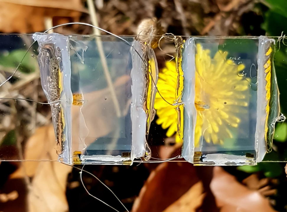 South Korea Develops Transparent Solar Panels, with Efficiency Approaching 10 Times Early Levels